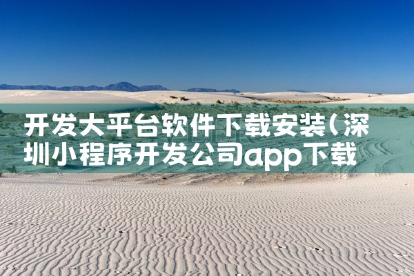 开发大平台软件下载安装