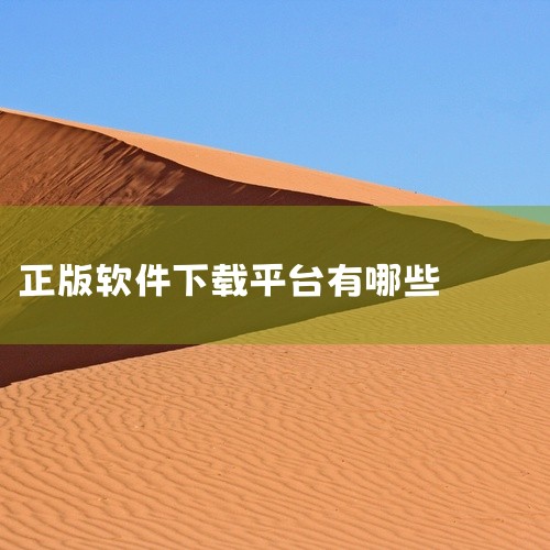 软件下载平台比较好的有天空软件站、百度软件中心、安下网和正版中国等。以下是这些平台的简要介绍：天空软件站：软件选择广泛：提供了大量的软件供用户选择，涵盖了各种类型的应用。正版保证：平台上的软件均为正版,