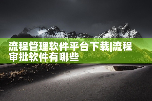 流程管理软件平台下载