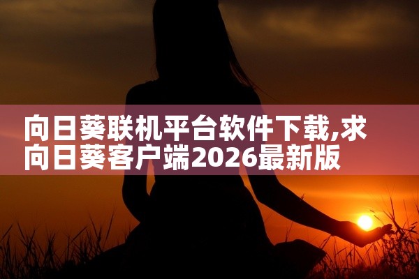 向日葵联机平台软件下载