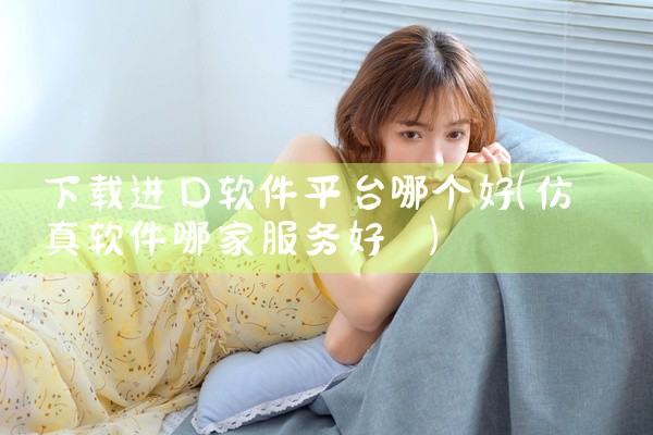 下载进口软件平台哪个好
