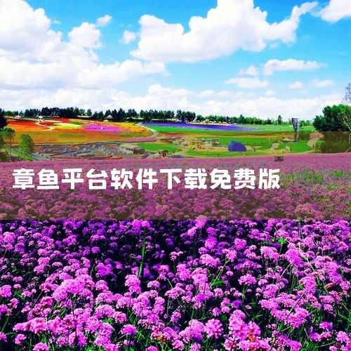 \x0a https://pan.baidu.com/s/12ItyP7C8SIWdGA7PueYVMA?pwd=dxdh\x0a 该素材为[软件][章鱼记账][安卓版][最新版],是一款安卓平台的实|