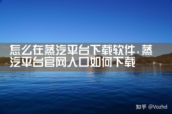 怎么在蒸汽平台下载软件