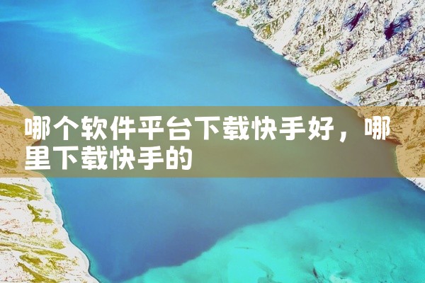 哪个软件平台下载快手好