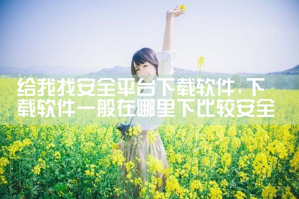 给我找安全平台下载软件