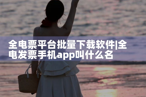 全电票平台批量下载软件