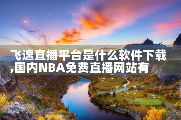 飞速直播平台是什么软件下载