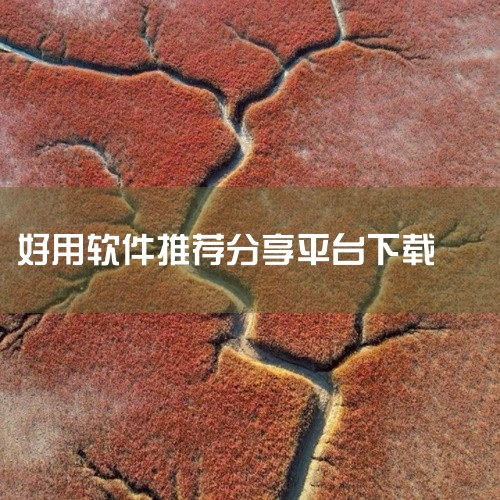 下载无忧：作为绿色安全的综合下载站，它不仅提供电脑和手机软件，还有游戏资源，同时配备使用教程。该网站...|